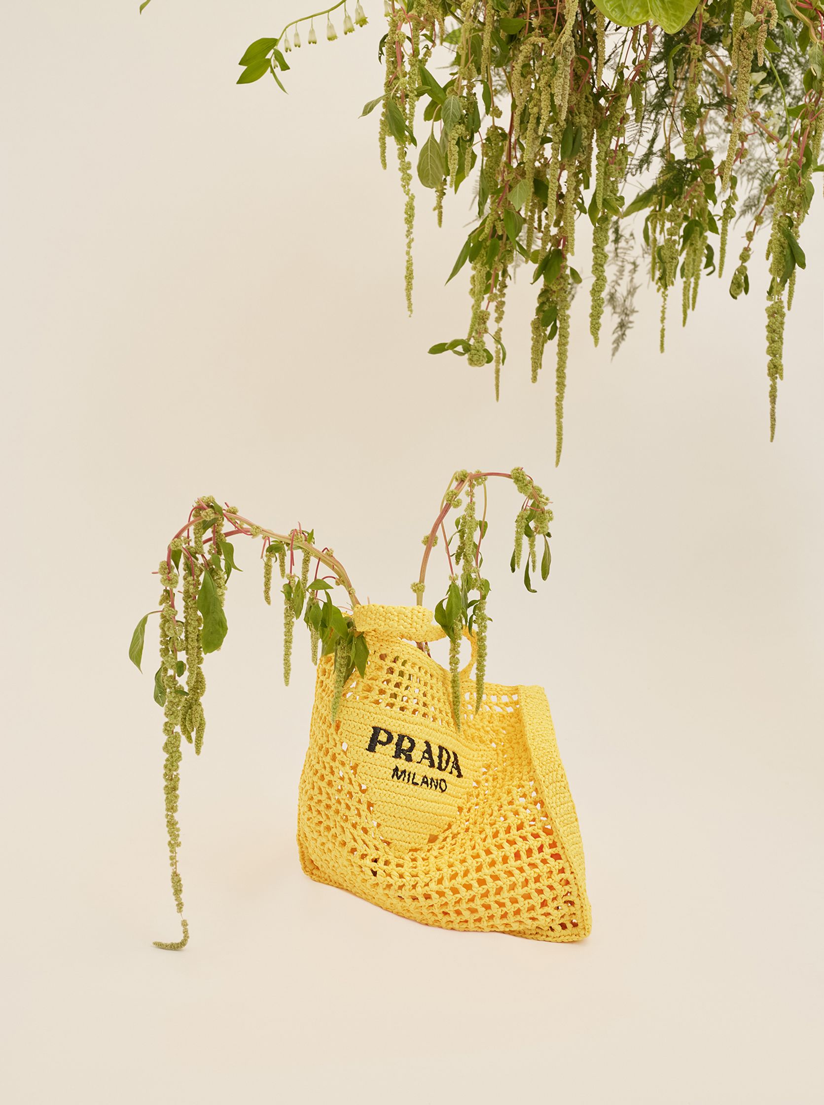 a yellow bag with a plant in it