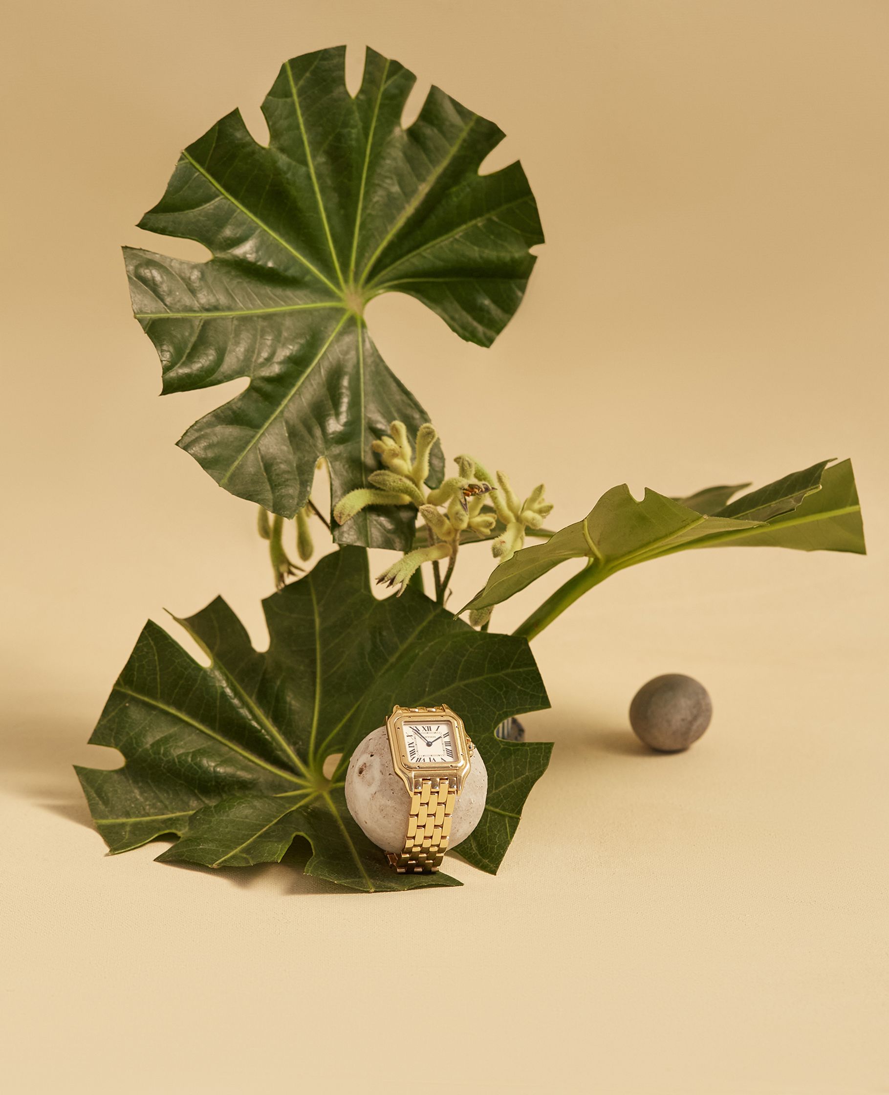 a gold watch laying on top of a leaf
