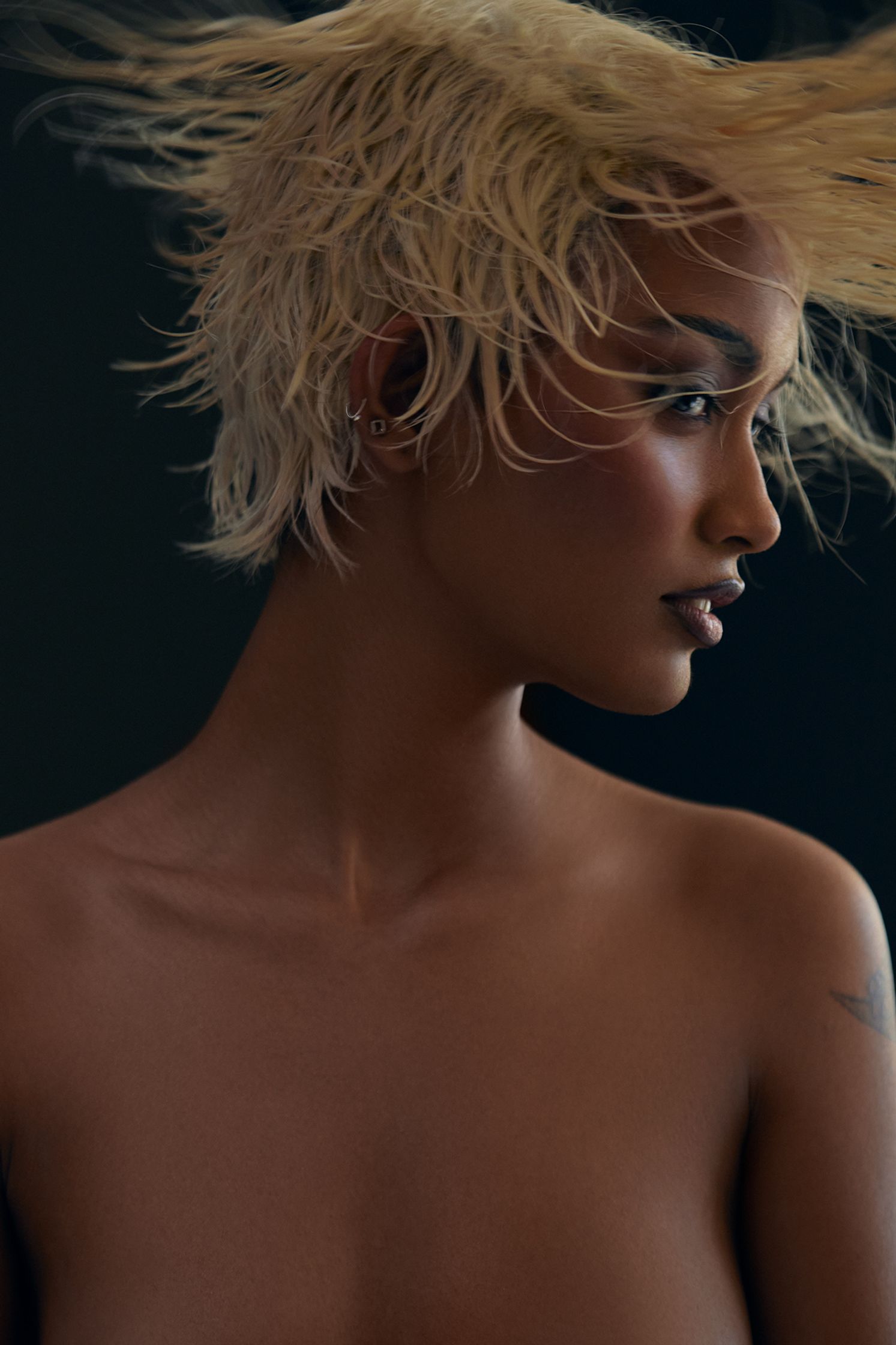 a naked woman with her hair blowing in the wind