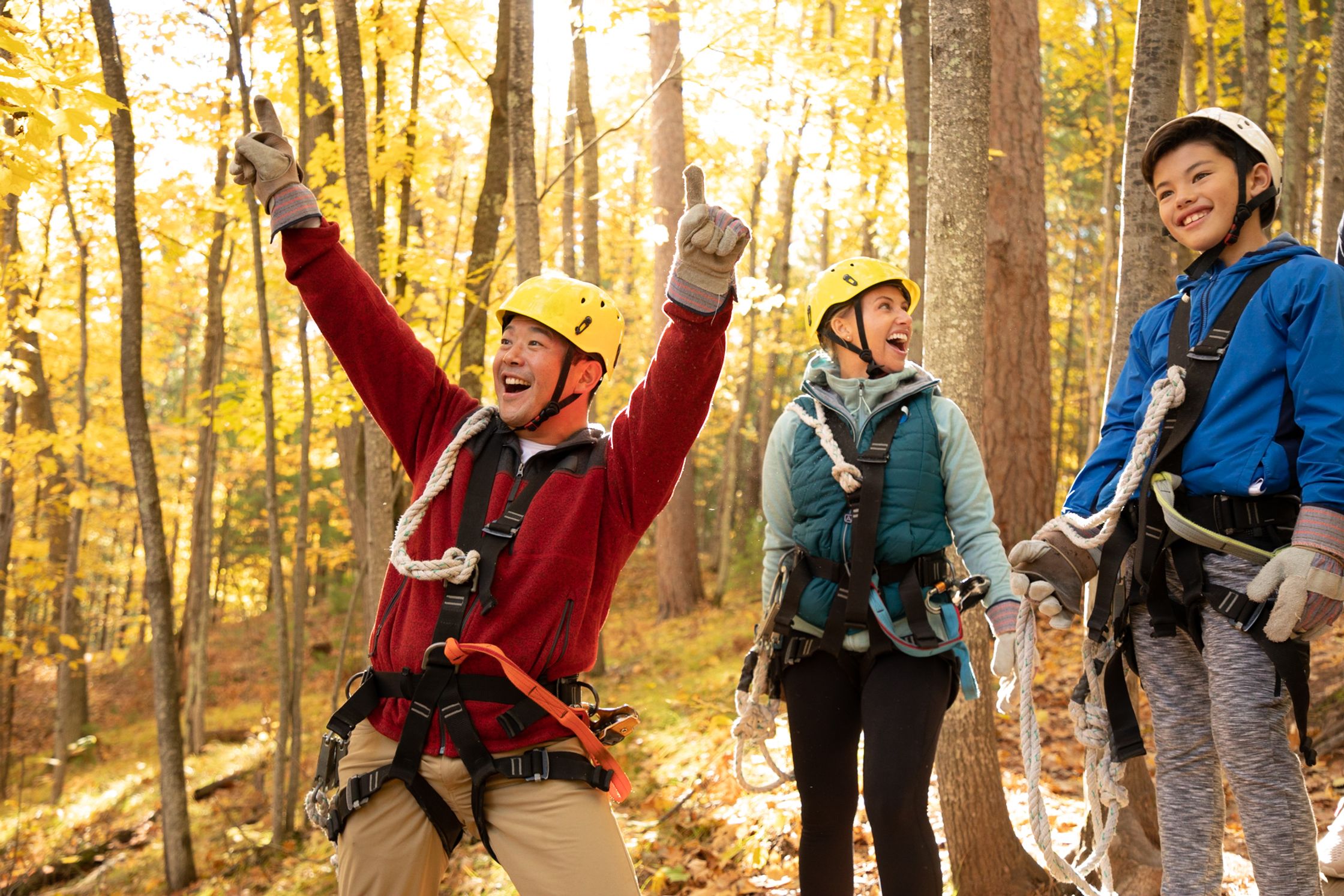 a group of people on a zip line in the woods