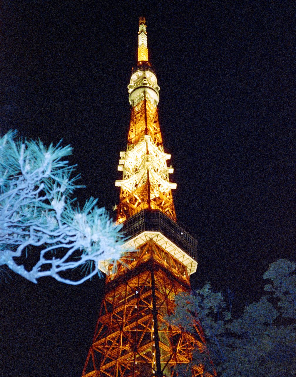 Tokyo on Cinestill 800t