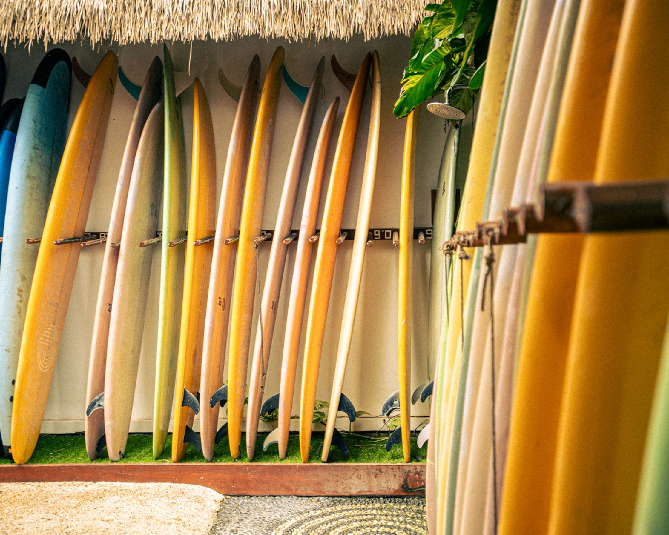 The colorful and organized board storage at the heart of the camp