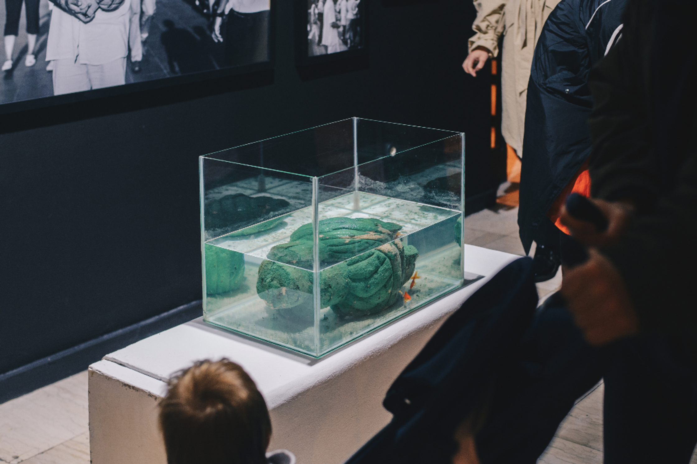 A glass tank with a green sponge-like object and two orange fish is on a white cube next to a child and two adults in a museum.
