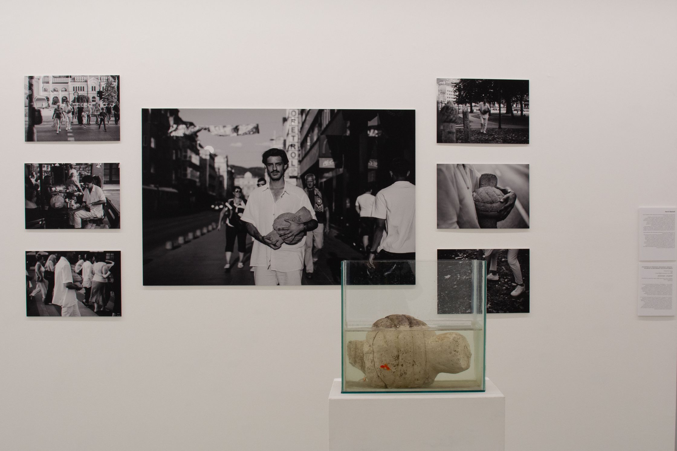 An art gallery wall featuring several black and white photographs and a rectangular glass tank with a sculpture submerged in water.