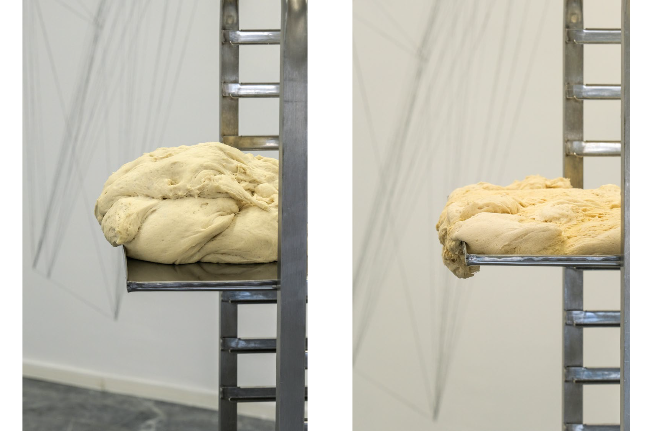 Two identical light-colored dough mounds rest on a metal rack, with the left one on a solid shelf and the right one on metal bars, both surrounded by a light-colored wall with faint diagonal lines.