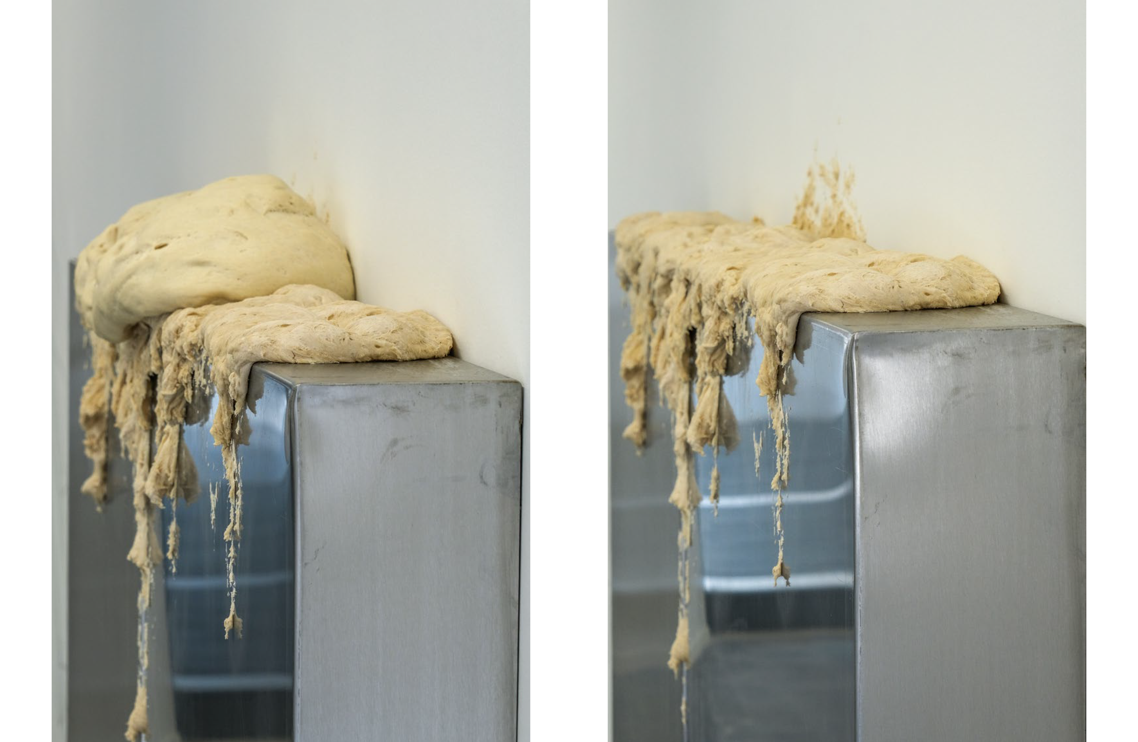 Two close-up images show bread dough expanding and dripping off a metal counter.