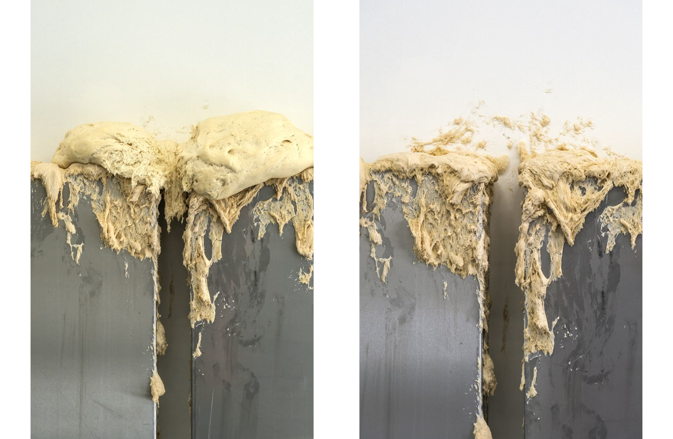 A diptych showing dough overflowing an unseen container on the left, and the same dough deflating and dripping on the right.