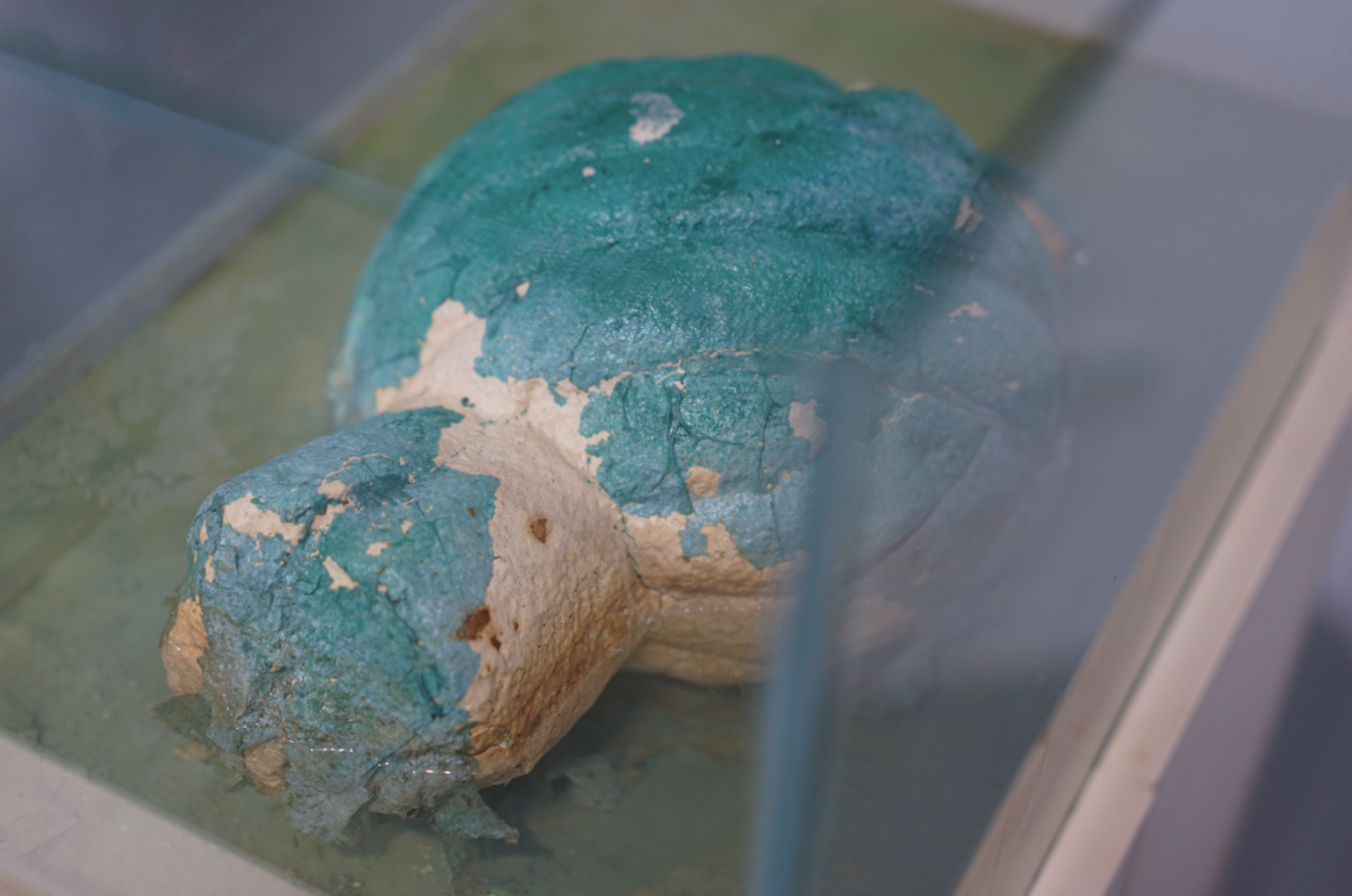 A detailed shot of a teal pumpkin-shaped craft with peeling paint, submerged in a shallow pool of water, seen through glass.