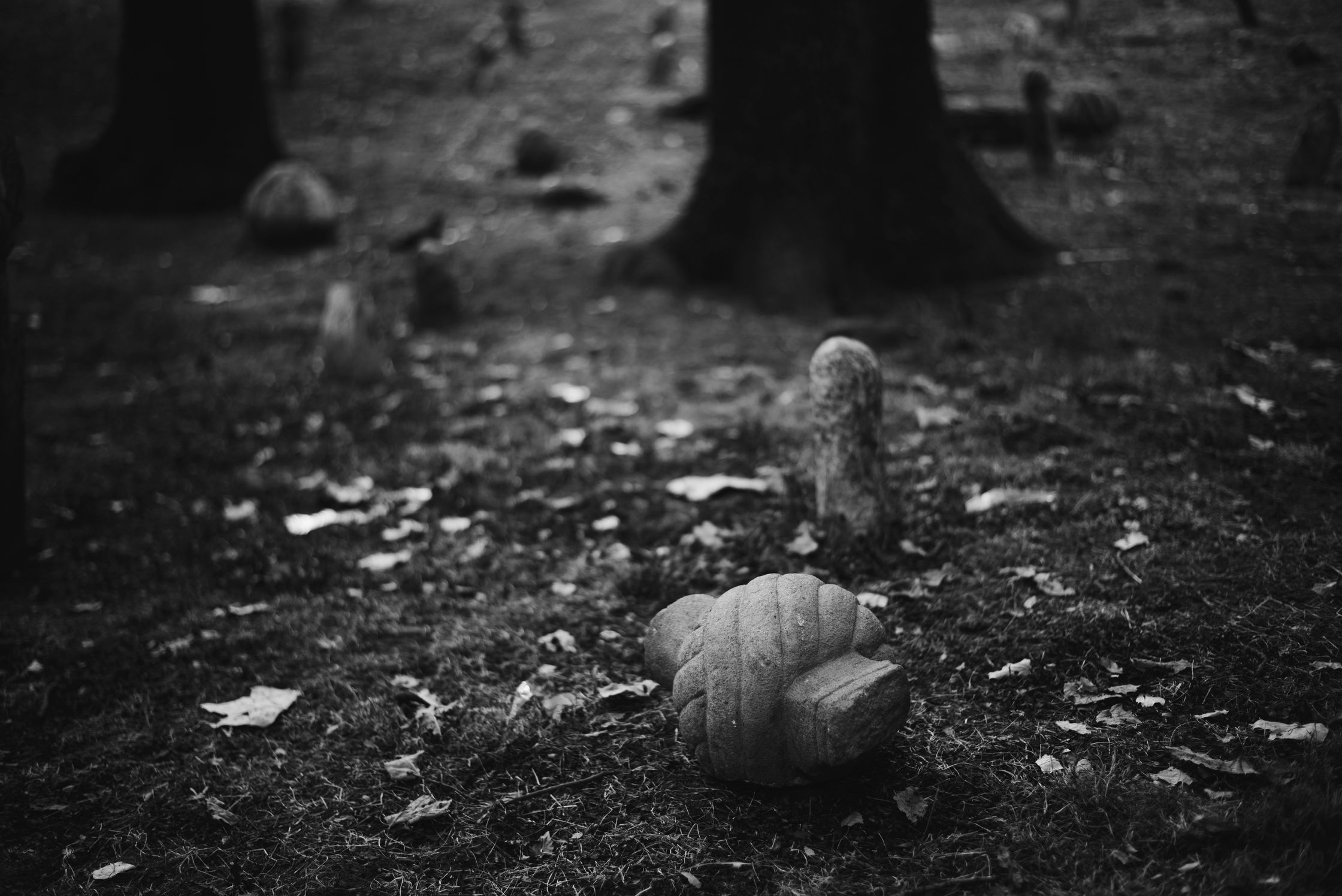 A black and white image with a defocussed tree in the background while a carved stone lies on the grass with another similar stone stump in the immediate background.