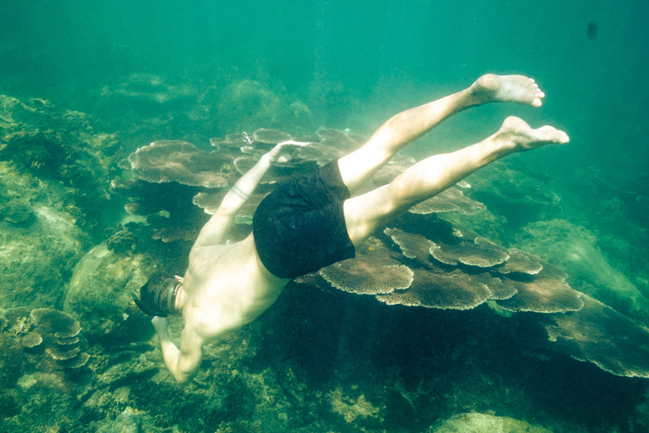 A man feeding around the coral in the sea of Koh Tao.