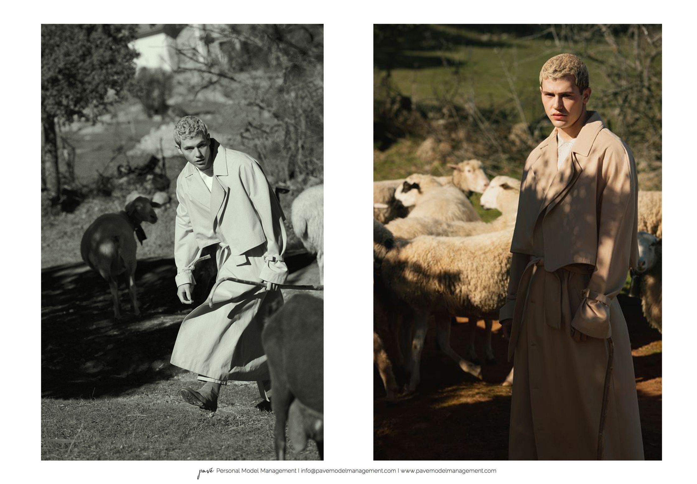 A two-panel image shows a male model in a trench coat with sheep, the left in black and white, the right in color.