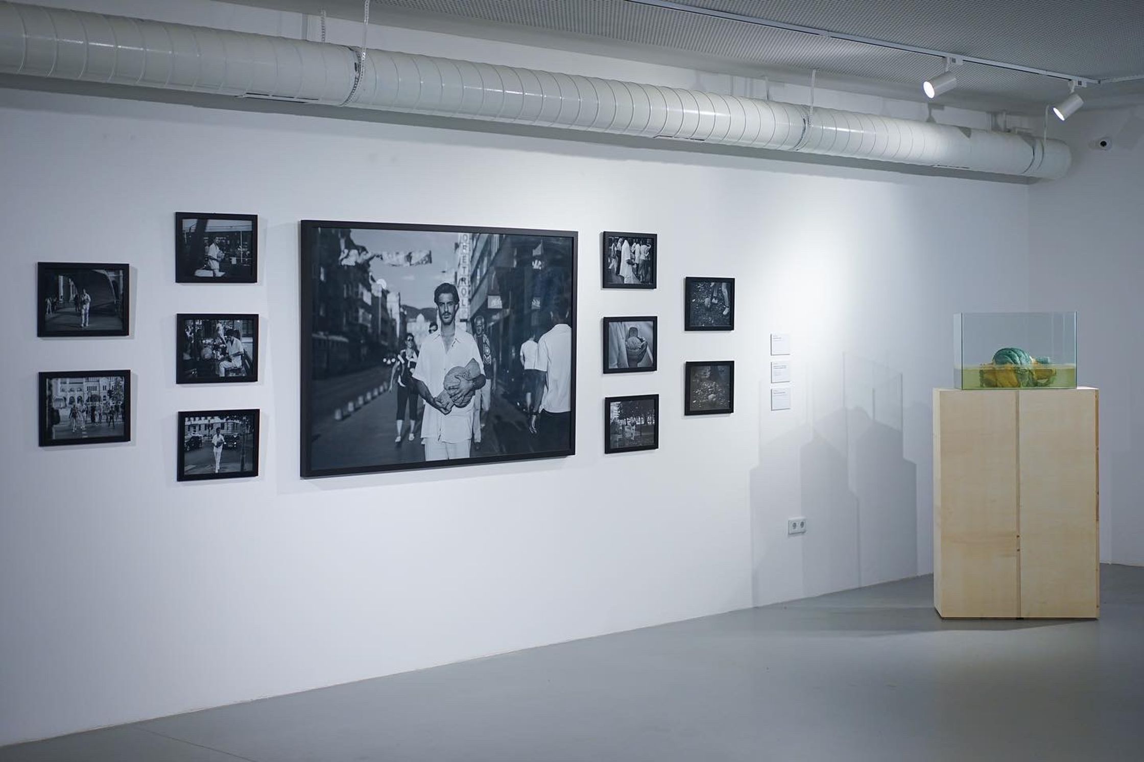 An art gallery displaying black and white framed photographs and a clear box with a watermelon in murky water on a wooden pedestal.