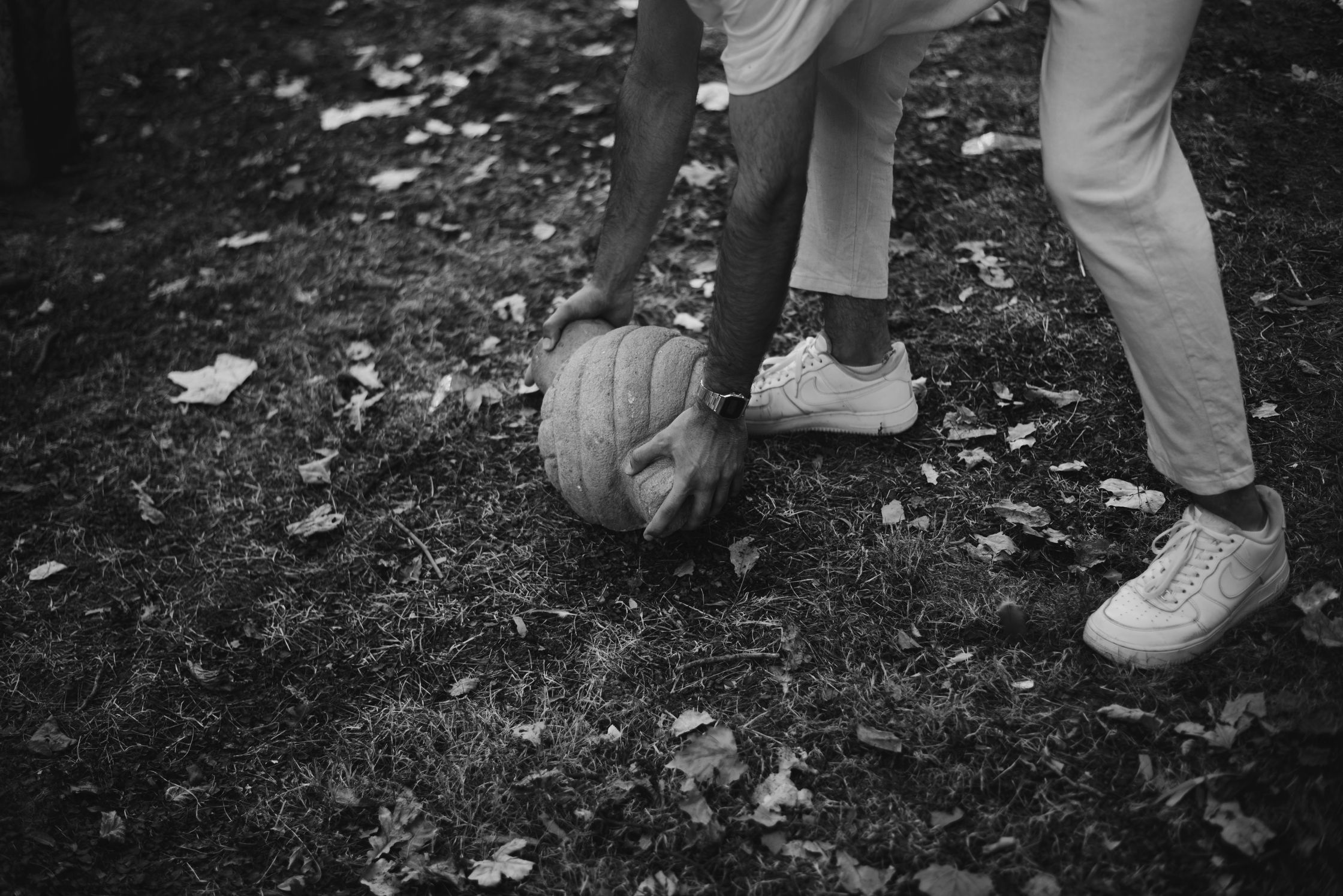 A black and white image focuses on a person in white pants and shoes bending over to pick up a pumpkin from a grassy, leafy ground.