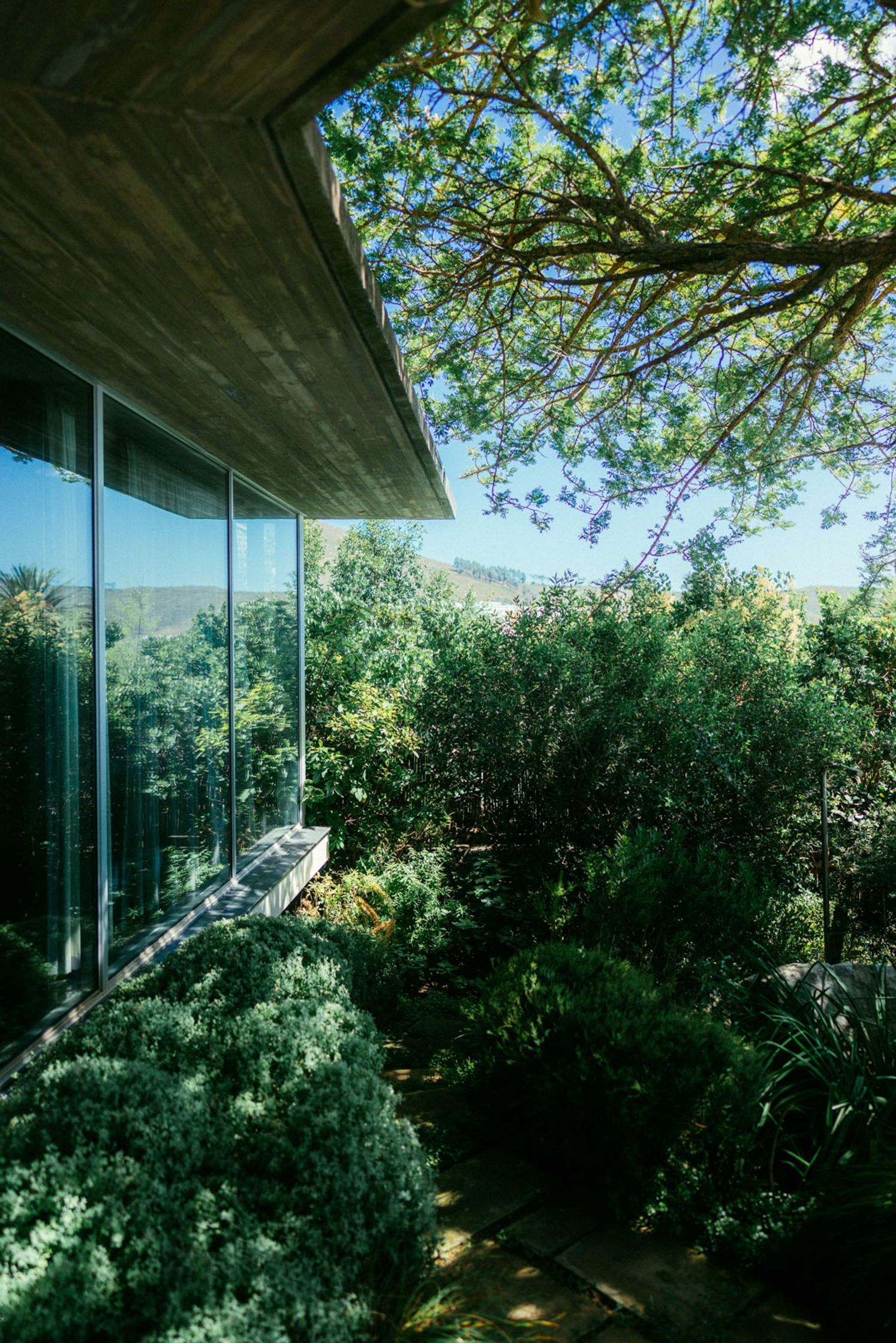 Modernes Architekturhaus mit Glasfassade und Betonvordach, eingebettet in üppige grüne Vegetation und Bäume, Bergpanorama im Hintergrund, Lifestyle-Location Paul Schrader Kapstadt 2024