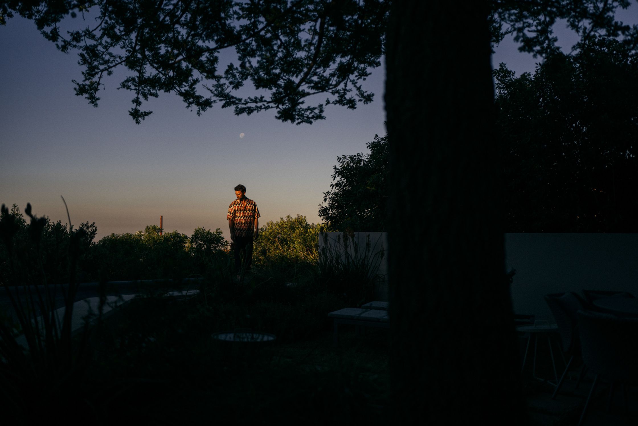 Künstler Paul Schrader steht in der Abenddämmerung zwischen großen Baumsilhouetten, blau-violetter Abendhimmel mit Mond sichtbar, stimmungsvolles Outdoor-Portrait Kapstadt 2024