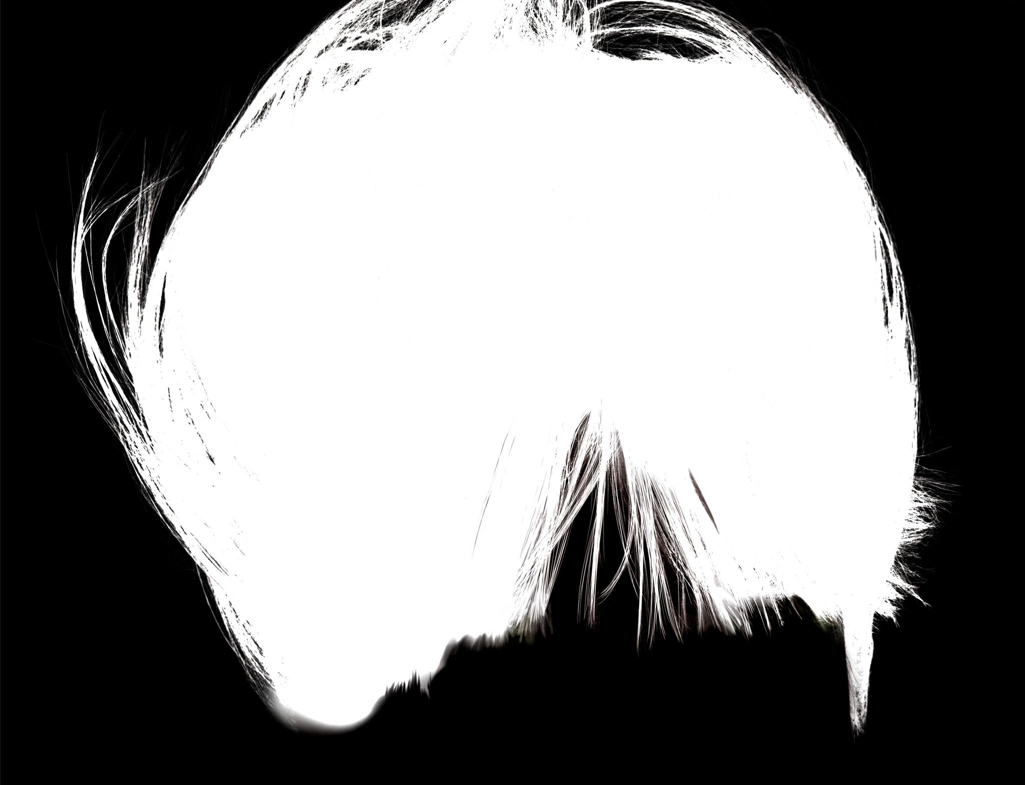 Precise hair mask for the colorization