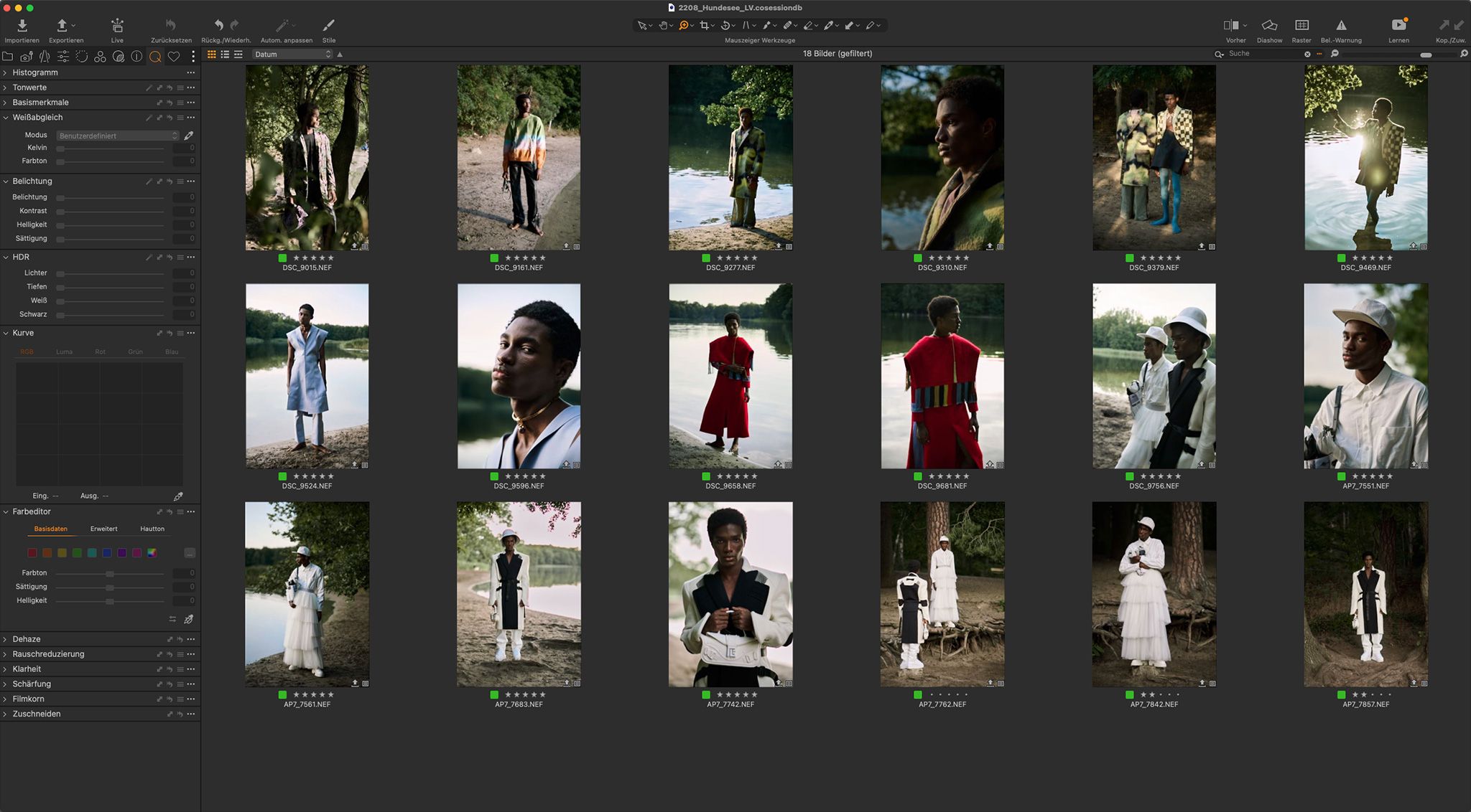 Series of eighteen images brought into one color family